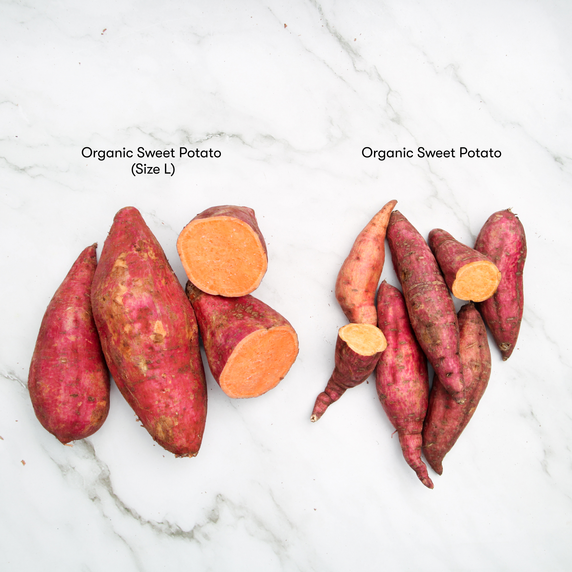 Organic Sweet Potato (Size L)